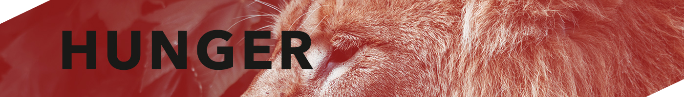 Our Values | Hunger | Digital Glue