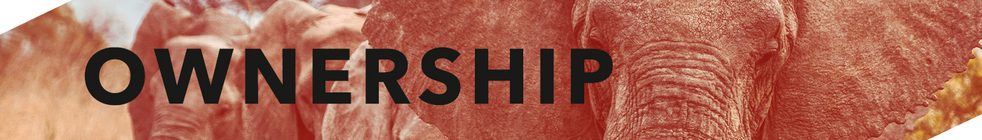 Our Values | Ownership | Digital Glue