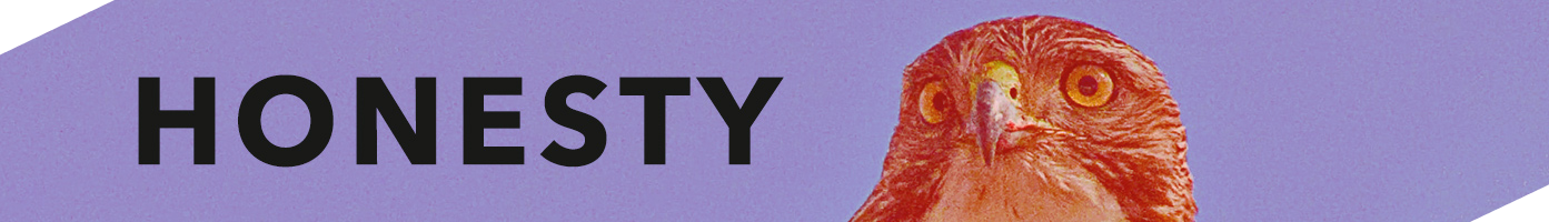 Our Values | Honesty | Digital Glue